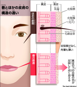 20120423